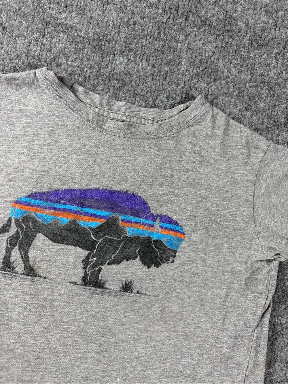 Patagonia Boys' Graphic Organic T-Shirt